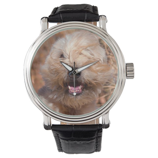 Mjuk päls Wheaten Terrier porträtt Armbandsur (Framsida)