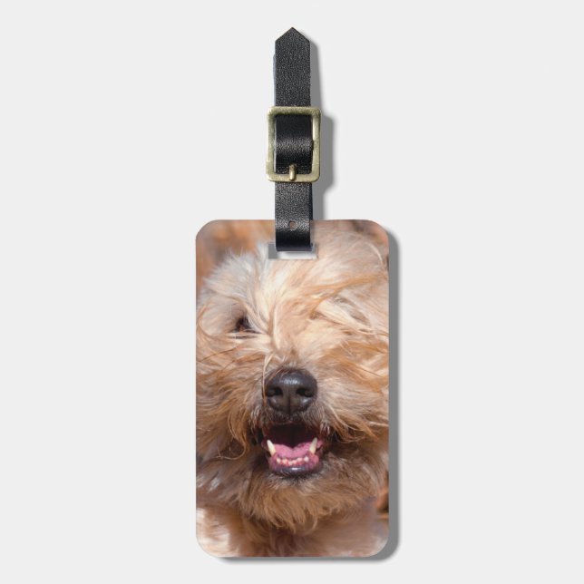 Mjuk päls Wheaten Terrier porträtt Bagagebricka (Vertikal Framsida)
