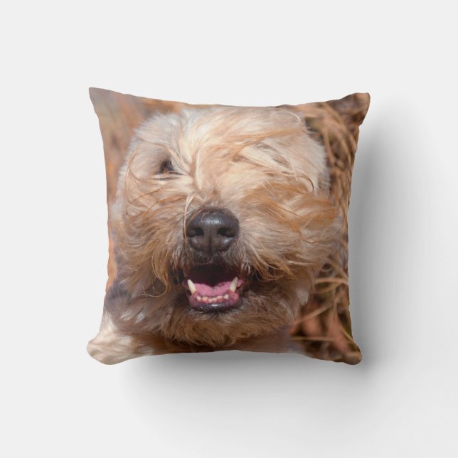 Mjuk päls Wheaten Terrier porträtt Kudde (Framsida)