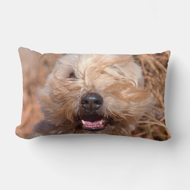 Mjuk päls Wheaten Terrier porträtt Lumbarkudde (Framsida)