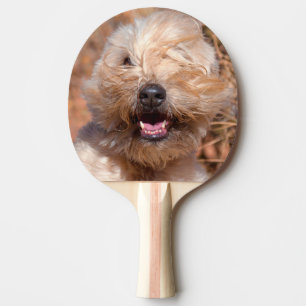 Mjuk päls Wheaten Terrier porträtt Pingisracket
