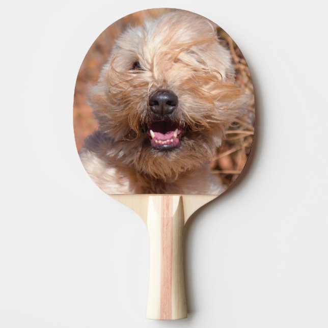 Mjuk päls Wheaten Terrier porträtt Pingisracket (Framsidan)