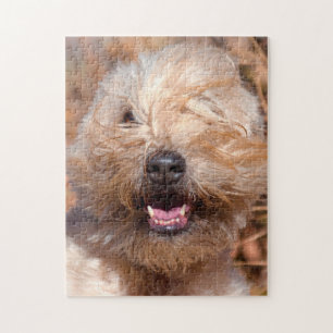 Mjuk päls Wheaten Terrier porträtt Pussel