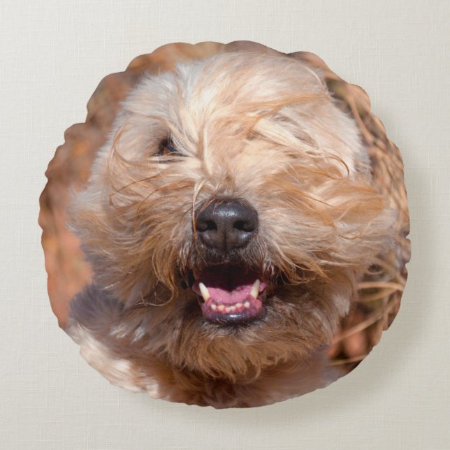 Mjuk päls Wheaten Terrier porträtt Rund Kudde (Framsidan)