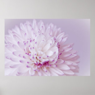 Mjuk pastellfärgad blomsterfotografi poster