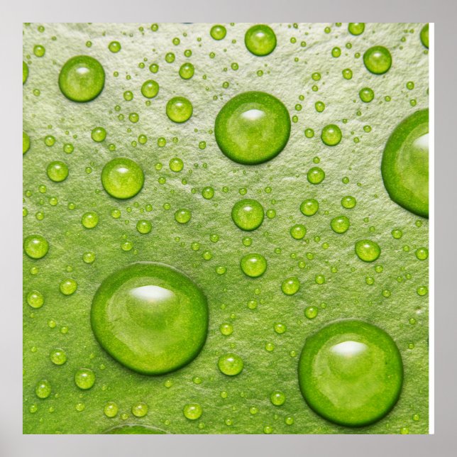 "Mjuk pekskärm, tyst fall" Poster (Framsidan)