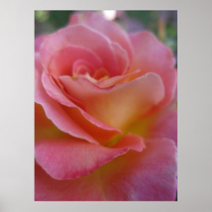 Mjuk persika (1) Poster
