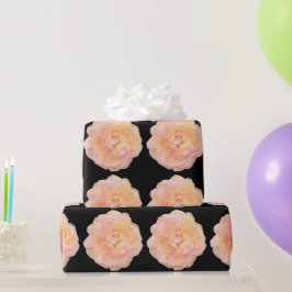 Mjuk persikofärgad Rosa Gul ros design över svart  Presentpapper