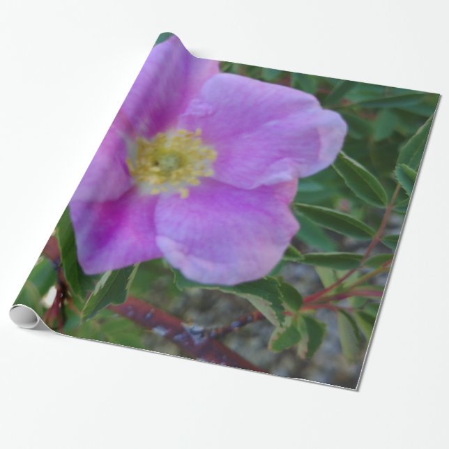 Mjuk Rosa Bloom Presentpapper (Utrullad)