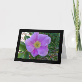 Mjuk Rosa Bloom- Sång av Sol. 8:7-gratulationskort Kort