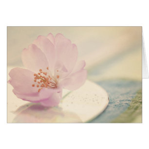 Mjuk Rosa Cherry Blommar Flower Hälsningskort