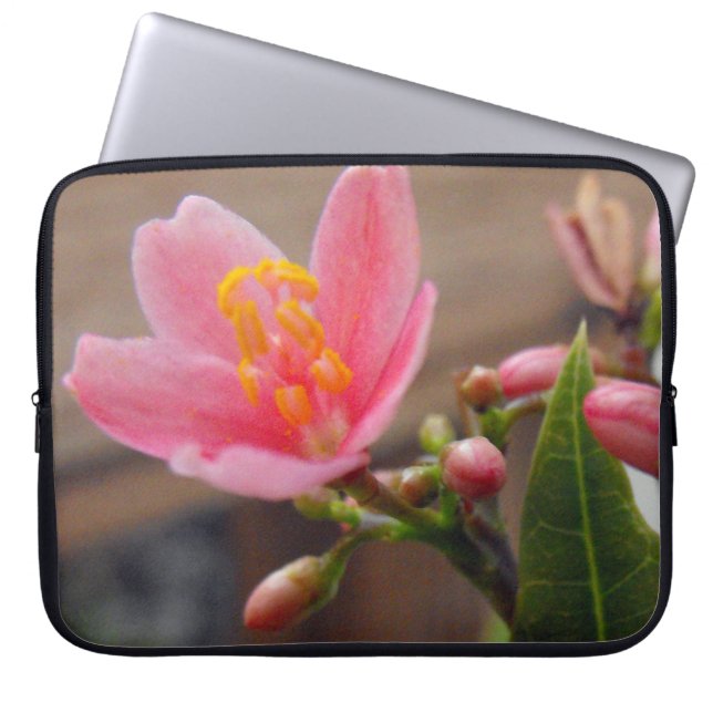 Mjuk Rosa Jatropha Blomma Laptop Fodral (Framsidan)