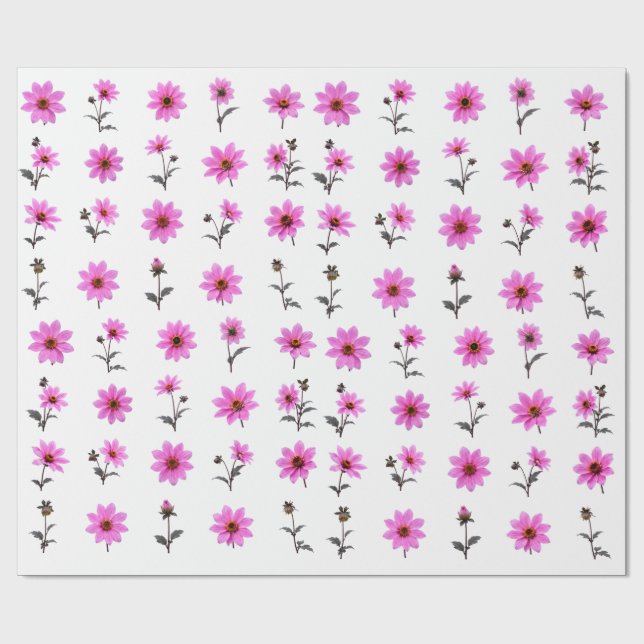 Mjuk Rosa Kosmosblomma Botaniskt Set Mjukt Blommot Presentpapper (Platt)