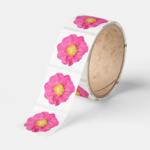 Mjuk Rosa Peony Blomma Botanisk Konst Klistermärke