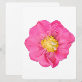 Mjuk Rosa Peony Blomma Botaniska Konstkort Inbjudningar