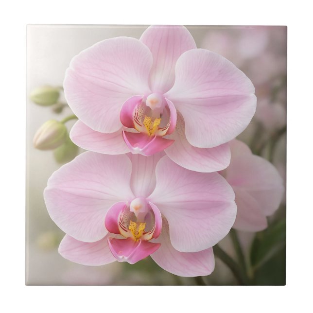 Mjuk Rosa Phalaenopsis-Orkidé Kakelplatta (Framsidan)
