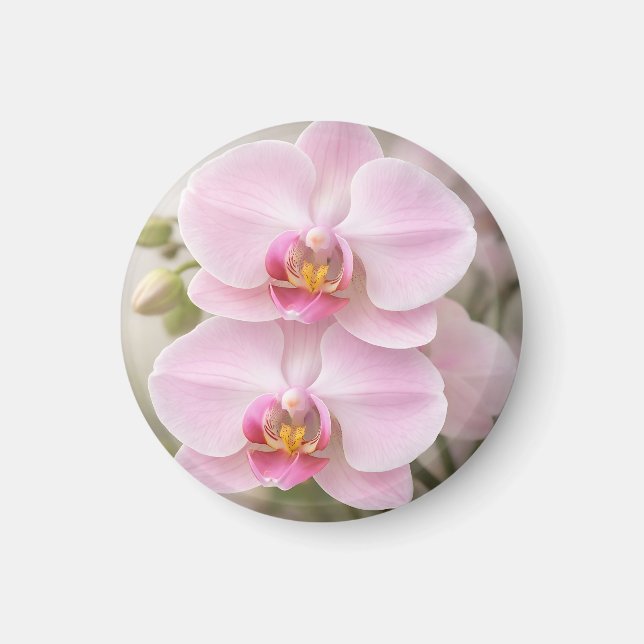 Mjuk Rosa Phalaenopsis Orkidé Magnet (Framsidan)