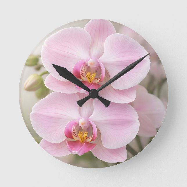 Mjuk Rosa Phalaenopsis Orkidé Rund Klocka (Framsida)