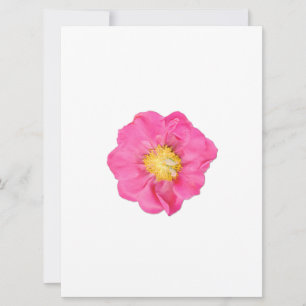 Mjuk Rosa Pionblomma Botaniska Konstkort Inbjudningar