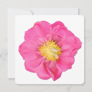 Mjuk Rosa Pionblomma Botaniska Konstkort Inbjudningar