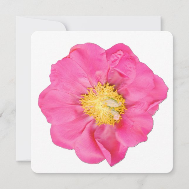 Mjuk Rosa Pionblomma Botaniska Konstkort Inbjudningar (Framsida)