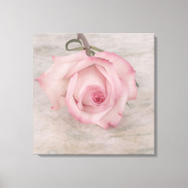 Mjuk Rosa ros Flower Canvastryck
