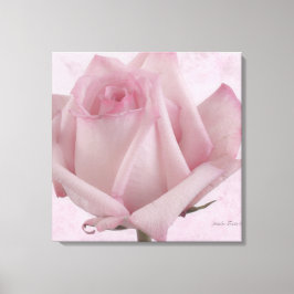 Mjuk Rosa ros Flower Canvastryck
