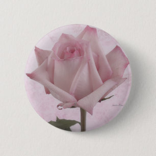 Mjuk Rosa ros Flower Knapp