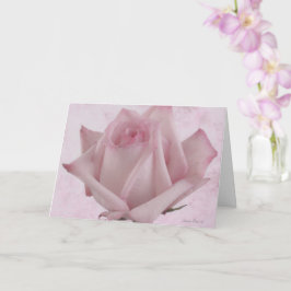 Mjuk Rosa ros Flower Kort