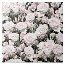 Mjuk Rosa ros
