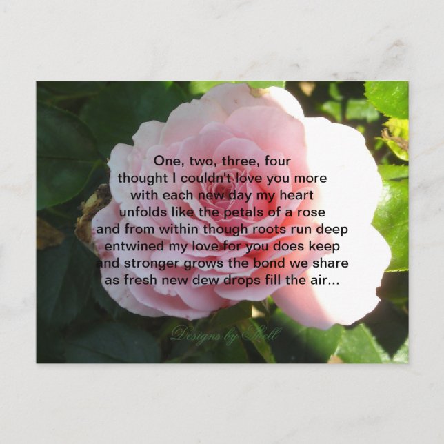 Mjuk rosa ros med romantisk vers vykort (Framsida)