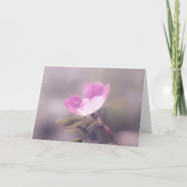 Mjuk Rosa Rosa Note Kort