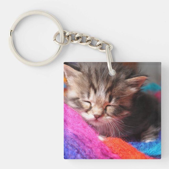 Mjuk Sömnig Nyfödd Kittens Fotograf (Framsidan)