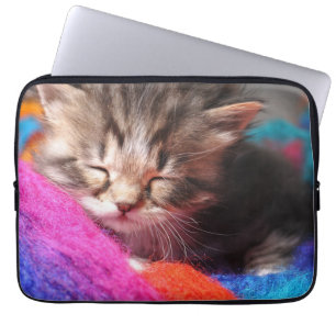 Mjuk Sömnig Nyfödd Kittens Fotograf Laptop Fodral