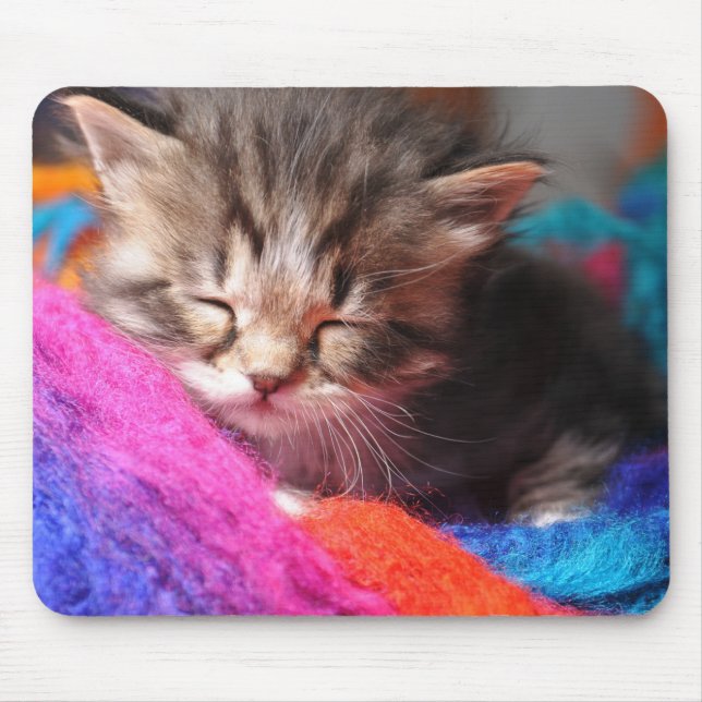 Mjuk Sömnig Nyfödd Kittens Fotograf Musmatta (Framsidan)