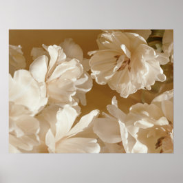 Mjuk vit blomsterprakt poster