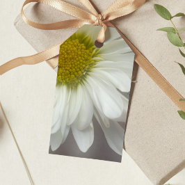 Mjuk vit Daisy på Grått Wedding Favor-Märkre Presentetikett