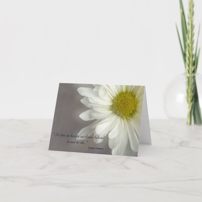 Mjuk vit Daisy Tack för din sympati Kort (Framsida)