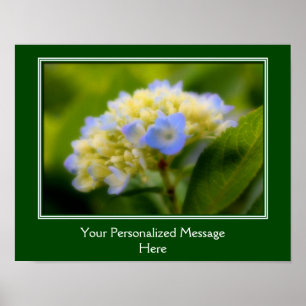Mjuka blå Hydrangea Flower Personlig Poster