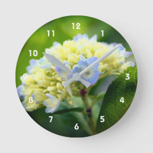 Mjuka blå Hydrangea Flower Rund Klocka