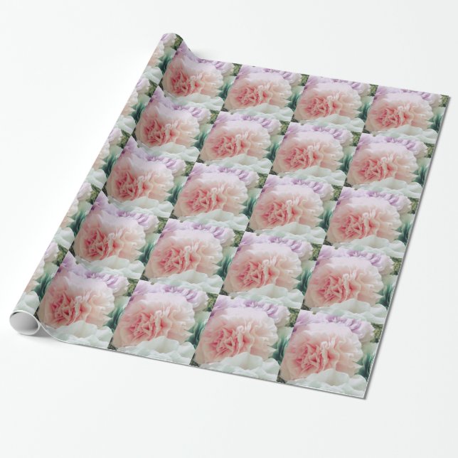 Mjuka kaffefilterblommor presentpapper (Utrullad)