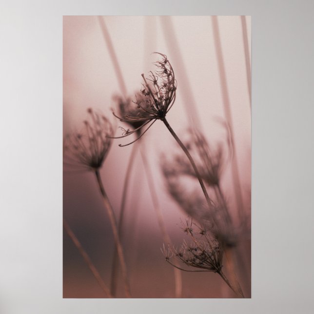 Mjuka ljusa vilda blomfrö huvuden poster (Framsidan)