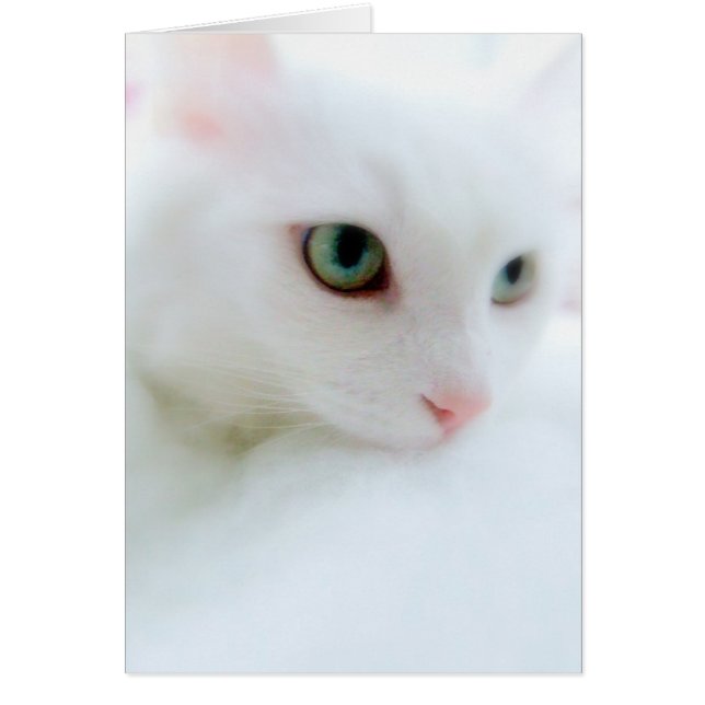 Mjuka moln hälsningskort (Framsidan)