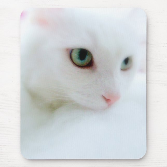 Mjuka moln musmatta (Framsidan)