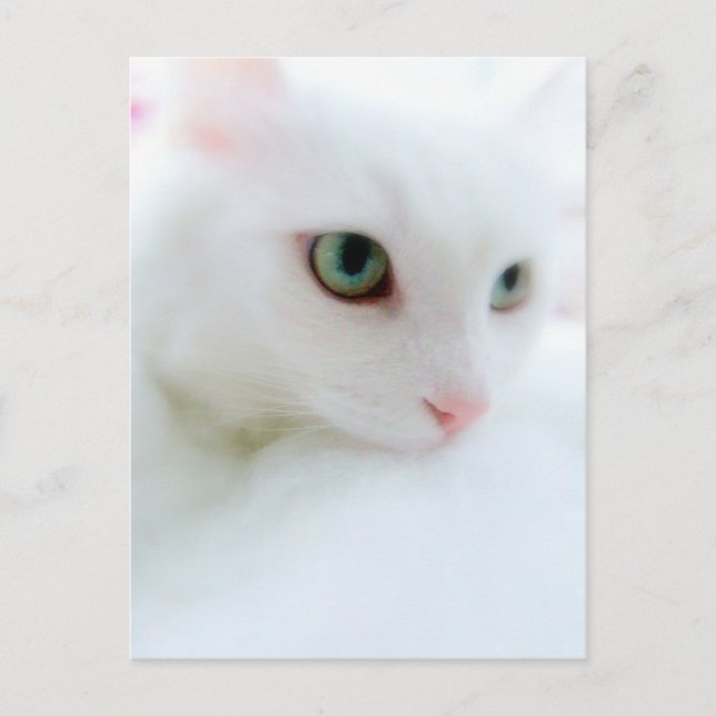 Mjuka moln vykort (Framsida)