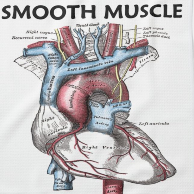 Mjuka muskeln inuti (Gråttets andningshjärta) Kökshandduk (Kitchen towel for anyone who has a heart - i.e., "Smooth Muscle Inside")