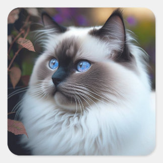 Mjuka och fluffy Ragdoll Kat Sticker Fyrkantigt Klistermärke