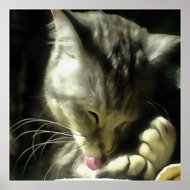 Mjuka och konsistenta Päls och rål av Grått-katt Poster (Framsidan)