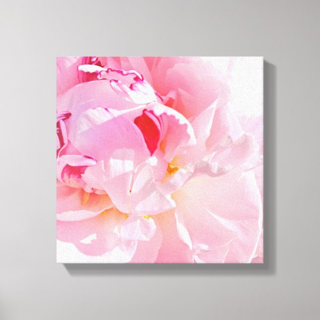 mjuka rosa kronblad canvastryck (Framsida)