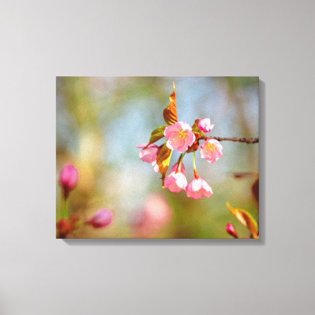 Mjuka Rosa Ömma Sakura Blommor På Våren Canvastryck (Framsida)